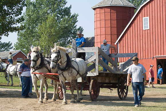 Harvest Wagon