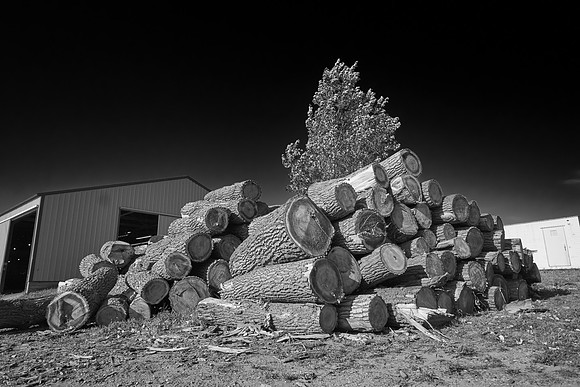 2023 0901 080bw