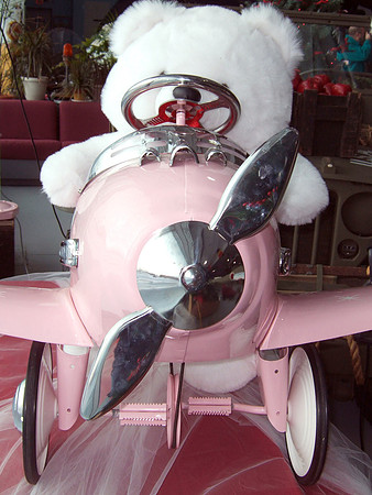 Teddy Bear Pilot
