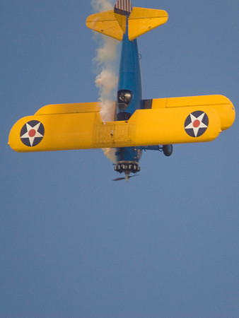 PT-17 Steerman Dives