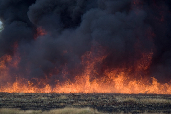 Fire Headed Our Way