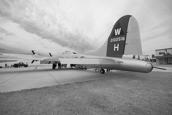 B17 Tail