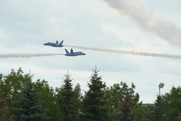 Blue Angels Cross Over Trees