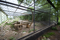 Dobbins View The Tiger Cage