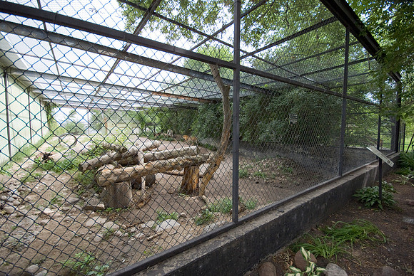 Dobbins View The Tiger Cage