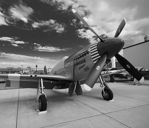 Tuskegee Airman