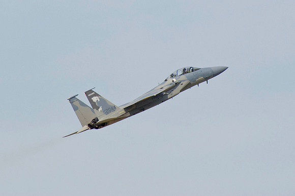 Eagles Take Off
