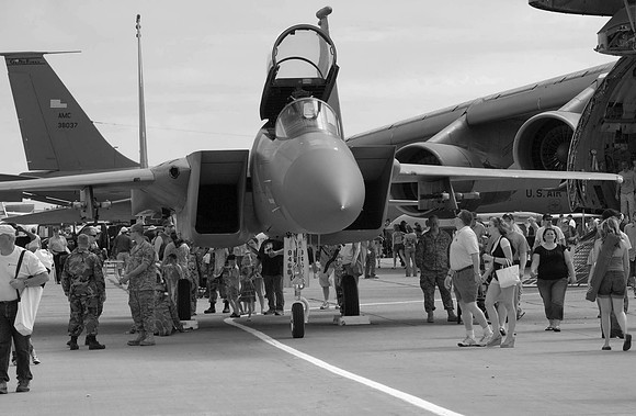 Eagle Draws A Crowd