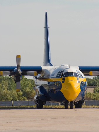 Fat Albert's Nose