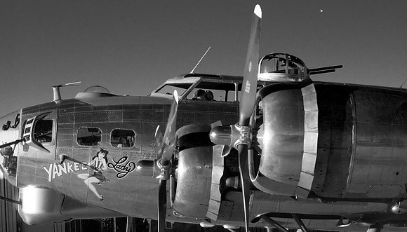 Yankee Lady Shadows