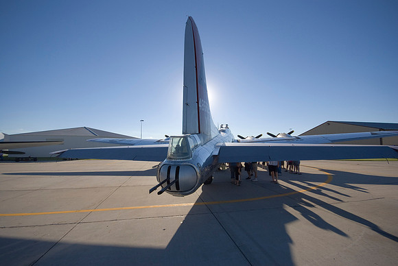 Tail Shade