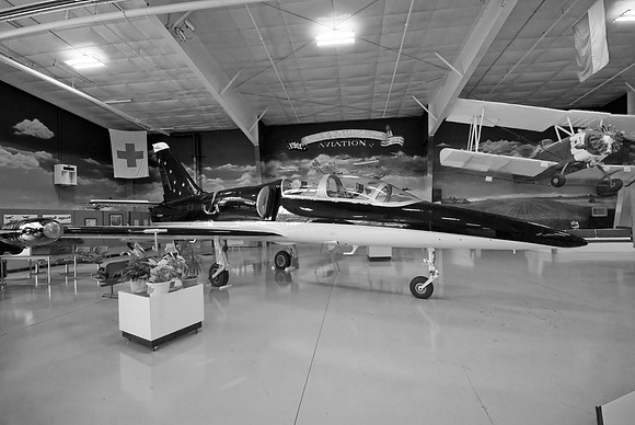 L-39 In B&W