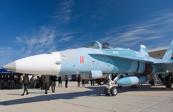 Ambush Aggressor Hornet