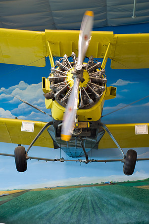 Spraying The Fields