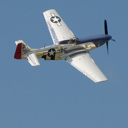 Flying Mustang