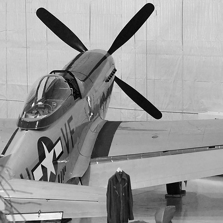 Mustang At Hanger Door
