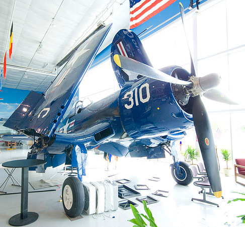 Blue Corsair Bathed In Light