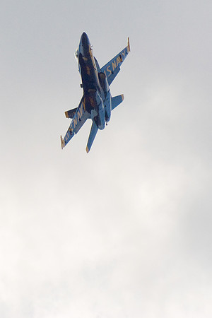 Hornet In The Sky