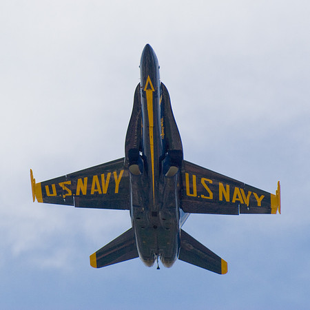 Hornet Overhead