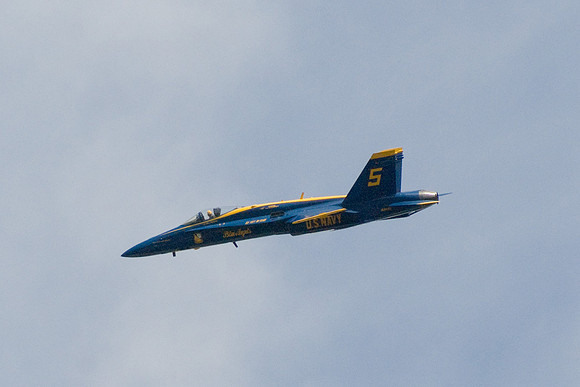 Over Our Backyard