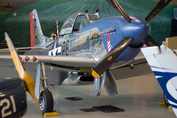 Crowded Mustang