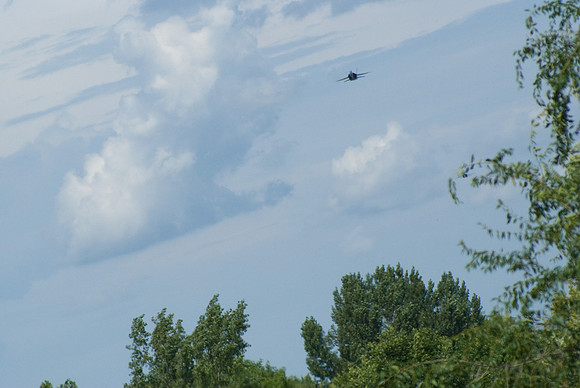 Through The Trees, Through The Clouds
