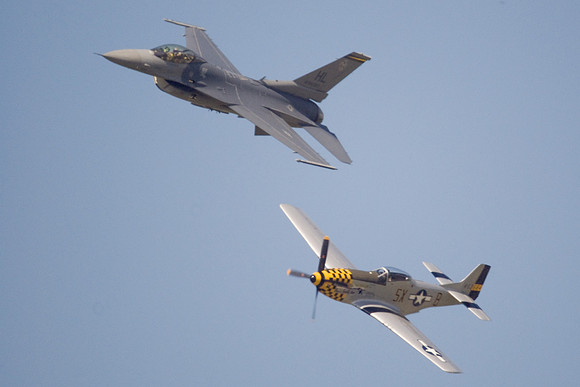 Falcon Eyes Mustang