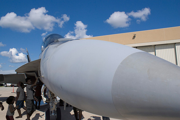 Hornet Nose