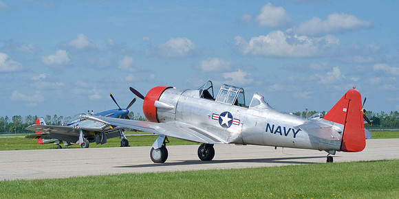 Mustang And Texan Nose To Nose