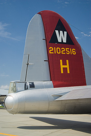 Tail Markings