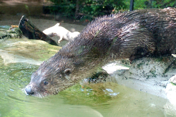 Testing The Water