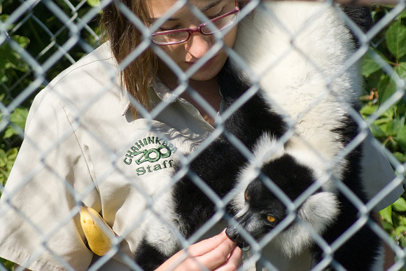 Kari Feeds The Lemer