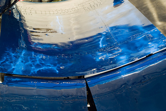 Wing Reflections
