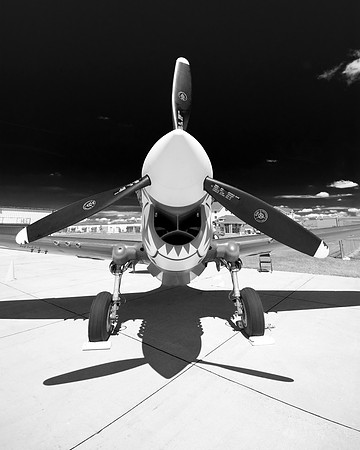 Into The Teeth
