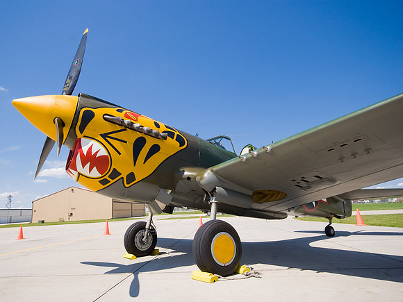 Warhawk In The Sun