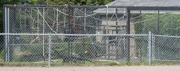 Monkey Cages