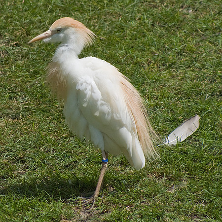 DSC04839