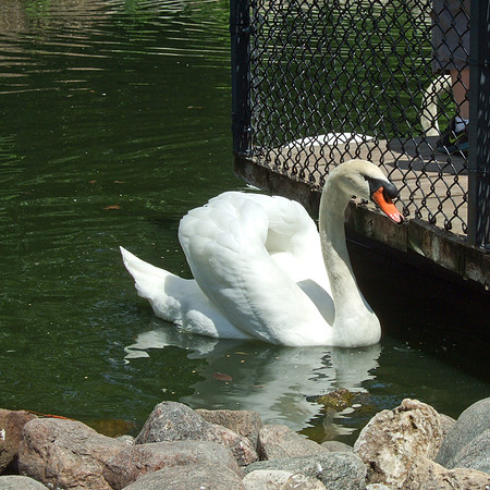 DSCF1380