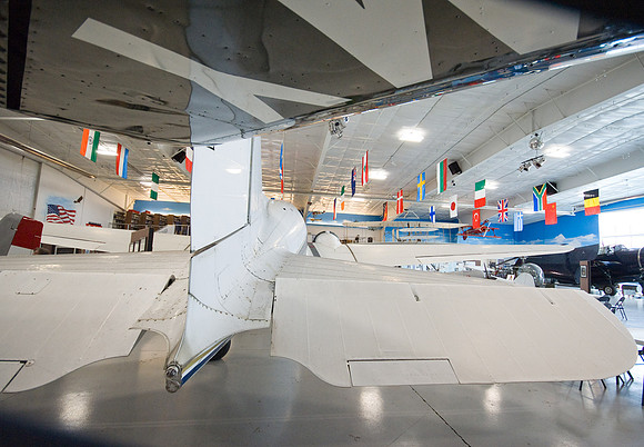 Under The Wing