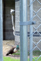 DSCF1349