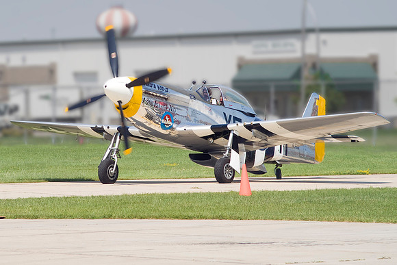 Mustang At The Ready