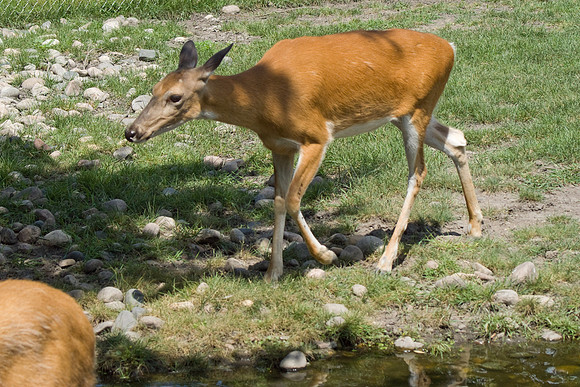DSC04930