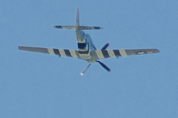 Mustang Overhead