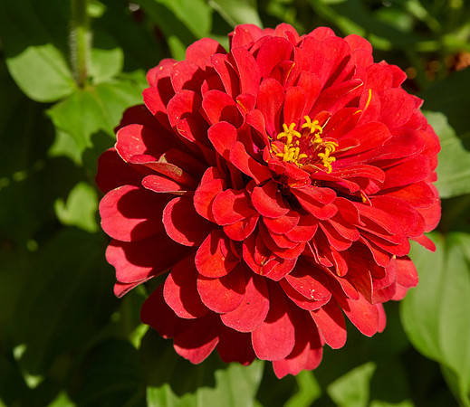 DSC04190