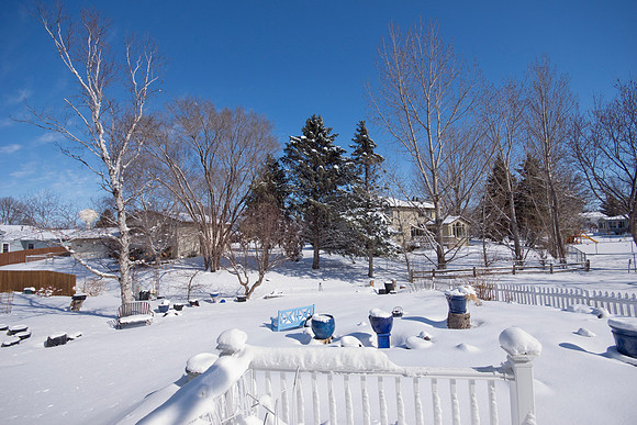 2016 0306 DSC02197