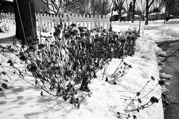 2016 0306 DSC02203
