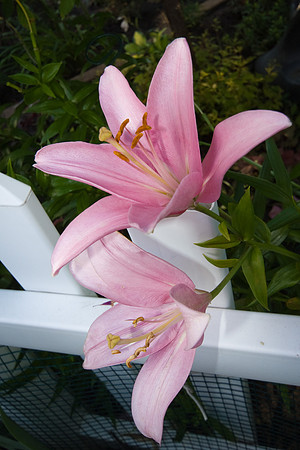 DSC01188