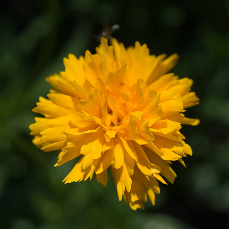 DSC00302.jpg