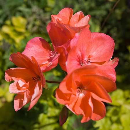 DSC01227