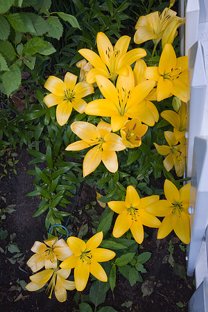 DSC01111.jpg